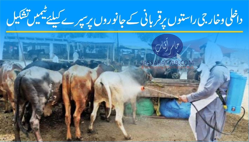 Camps for spray on sacrificial animals at all city entry points