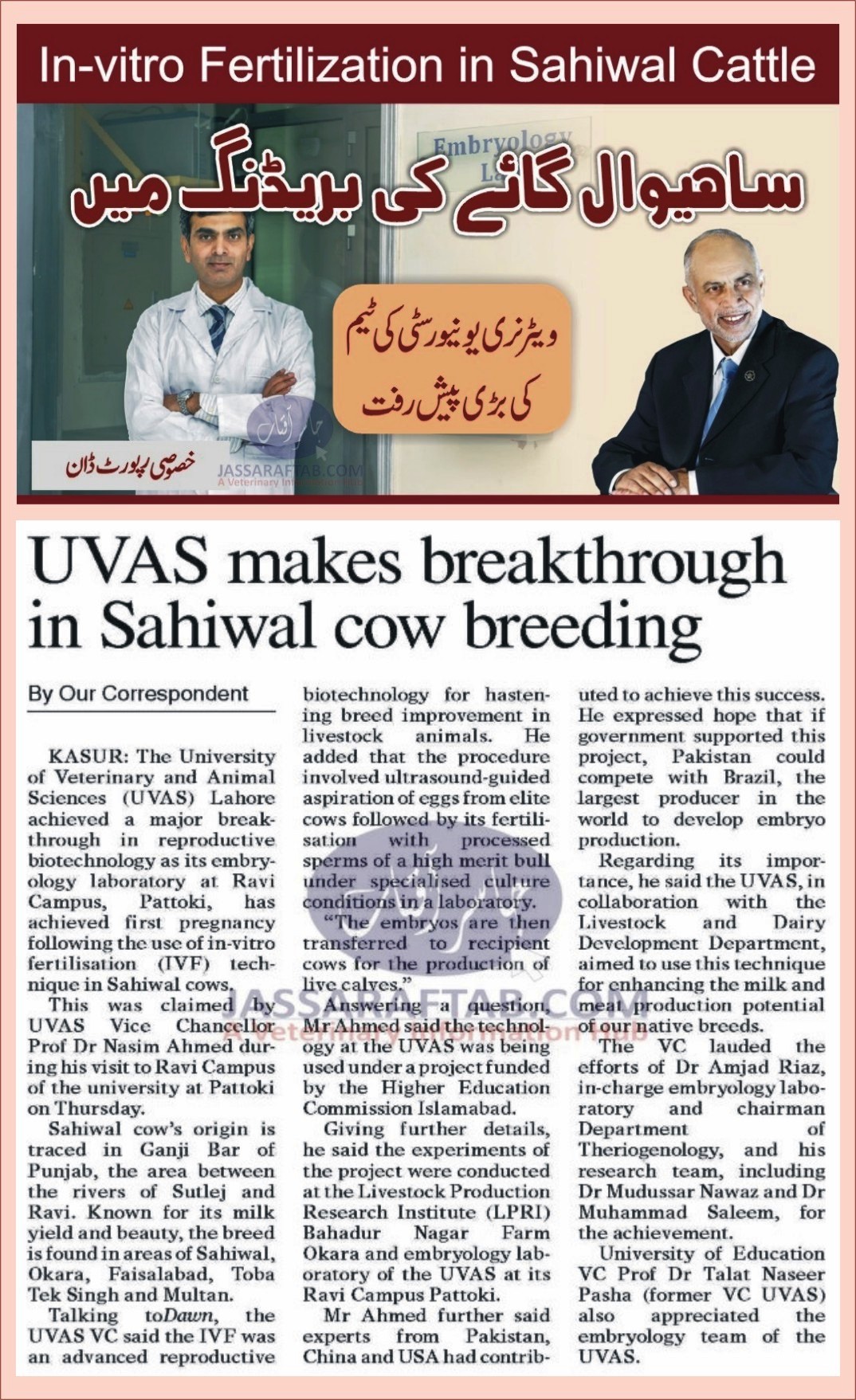 IVF in Sahiwal Cow | Embryo Transfer in Sahiwal Cattle