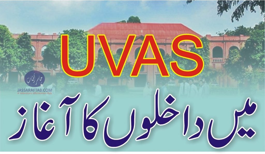 UVAS admissions
