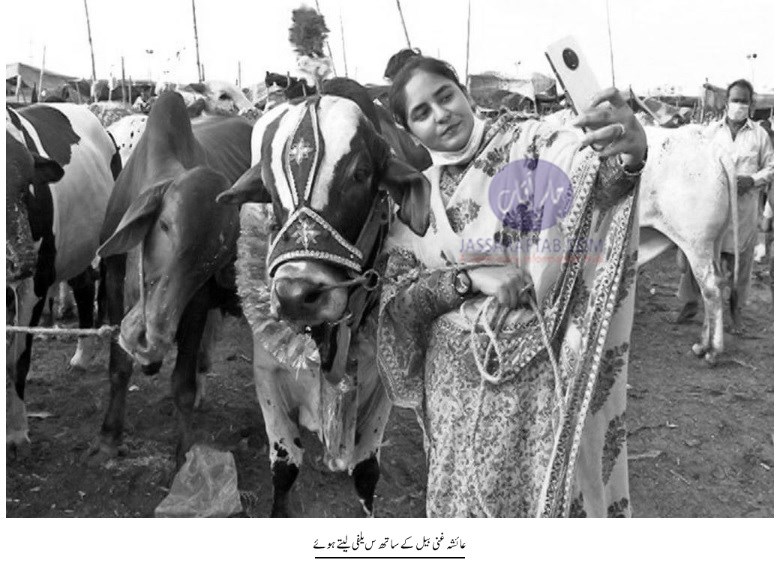 Young girl selling cows at cattle market  in Karachi 