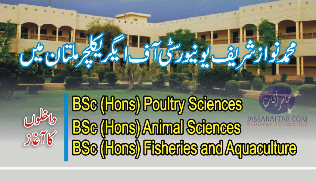 Admissions open at MNS University of Agriculture Multan
