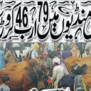 Business of Qurbani Animals on Eid