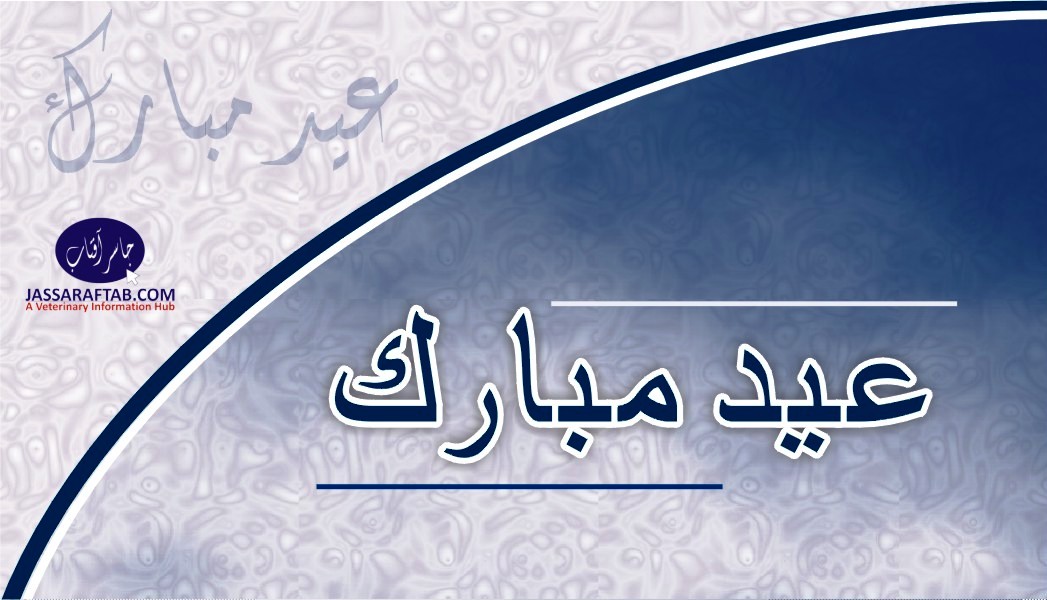 Eid Card Banner Urdu