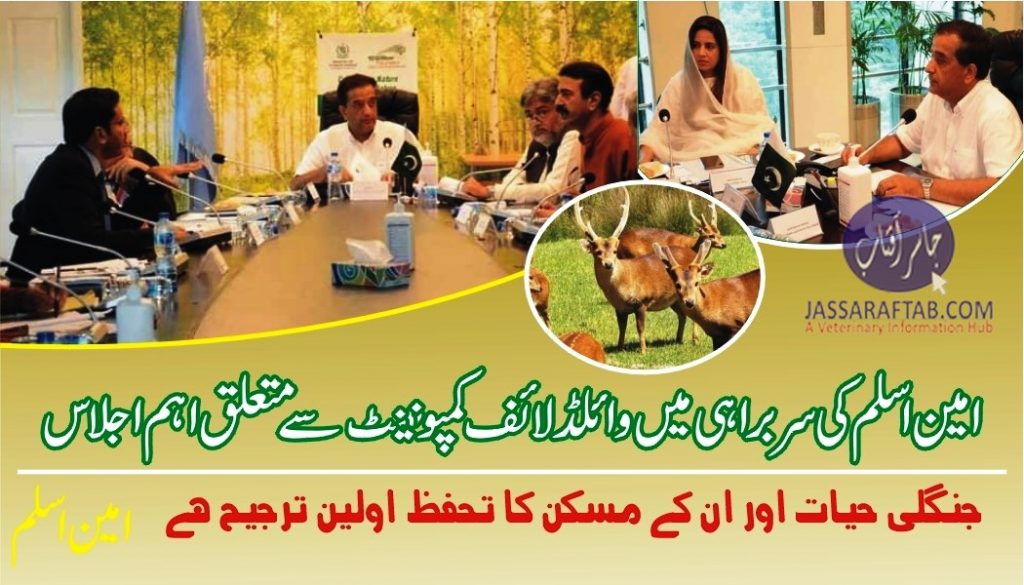 Amin Aslam chaired a meeting on state of wildlife