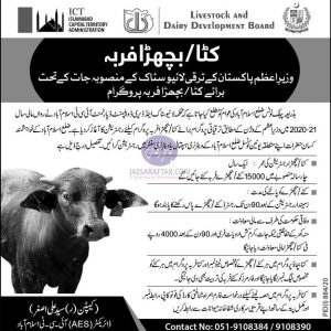 Registration for Calf Fattening Program started