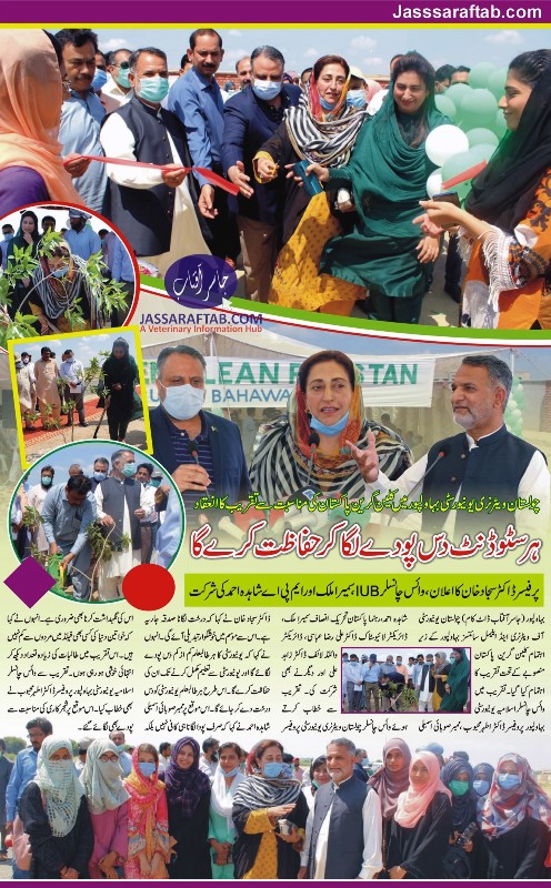 چولستان ویٹرنری یونیورسٹی میں کلین گرین پاکستان کی مناسبت سے تقریب کا اہتمام