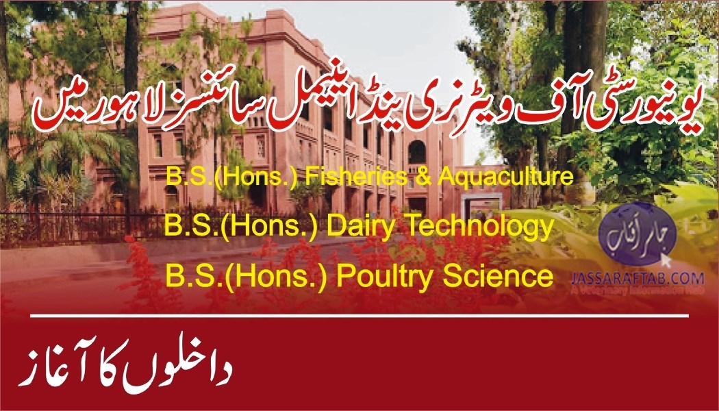 یونیورسٹی آف ویٹرنری اینڈ اینیمل سائنسز لاہور میں داخلوں کا آغاز
