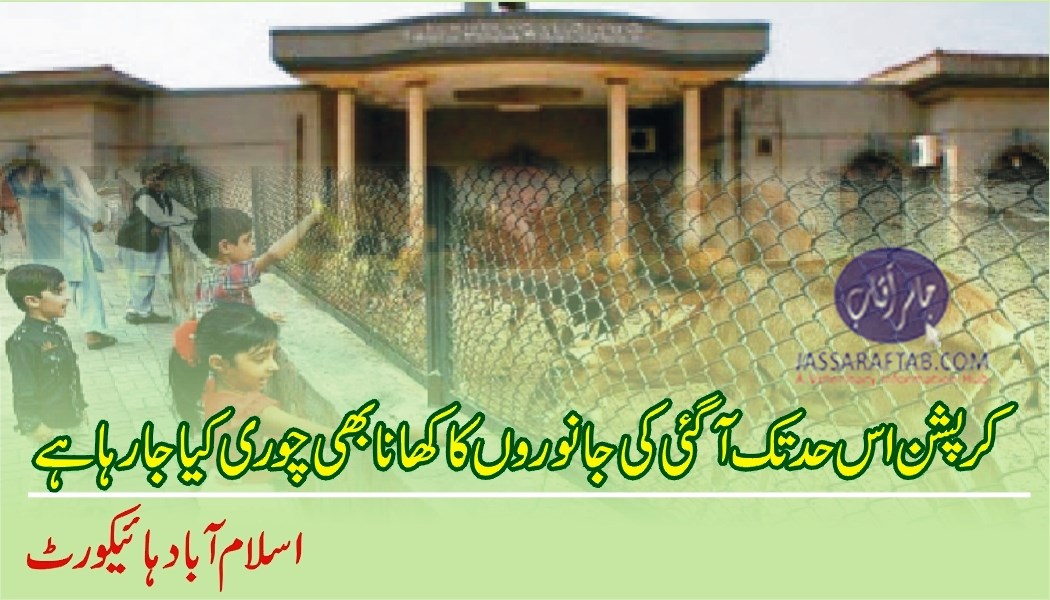 کرپشن اس حد تک آ گئی کہ جانوروں کا کھانا چوری کیا جا رہا ہے، اسلام آباد ہائیکورٹ