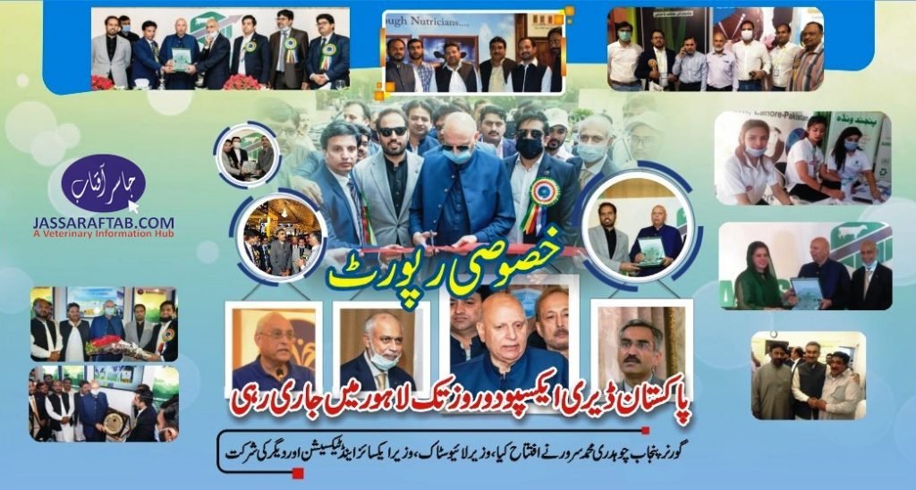 Dairy Expo News Report