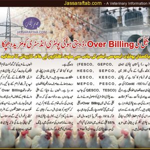 Poultry Association demands action against Electricity Over Billing 