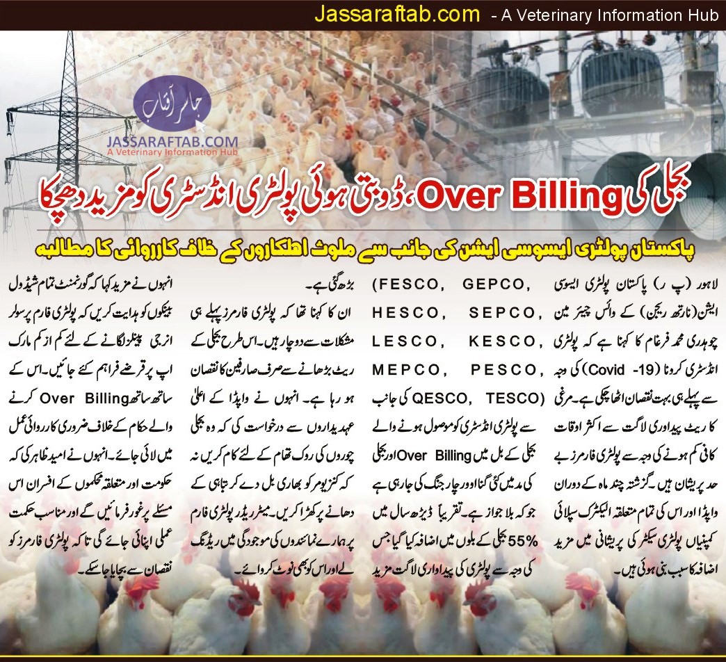 Poultry Association demands action against Electricity Over Billing 