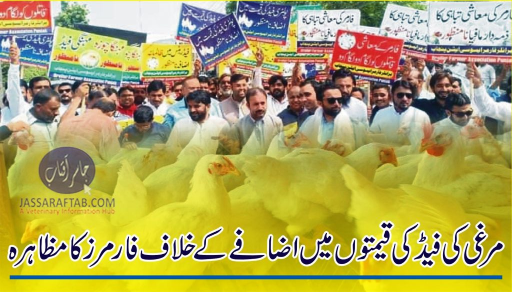 Farmers protest against increase in prices of poultry feed