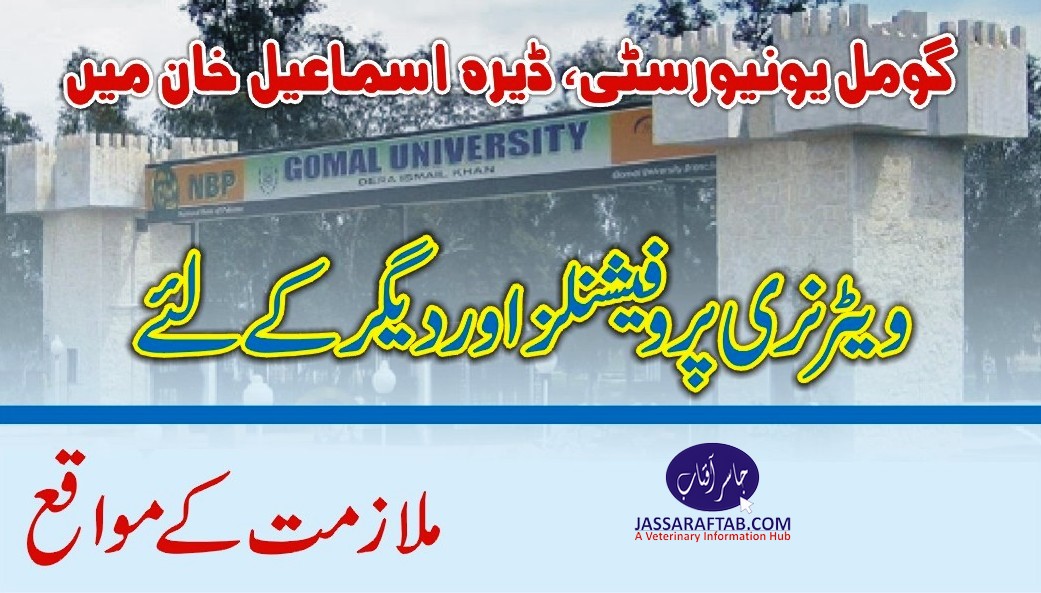 گومل یونیورسٹی ڈیرہ اسماعیل خان میں ویٹرنری پروفیشنلز اور دیگر کیلئے ملازمت کے مواقع