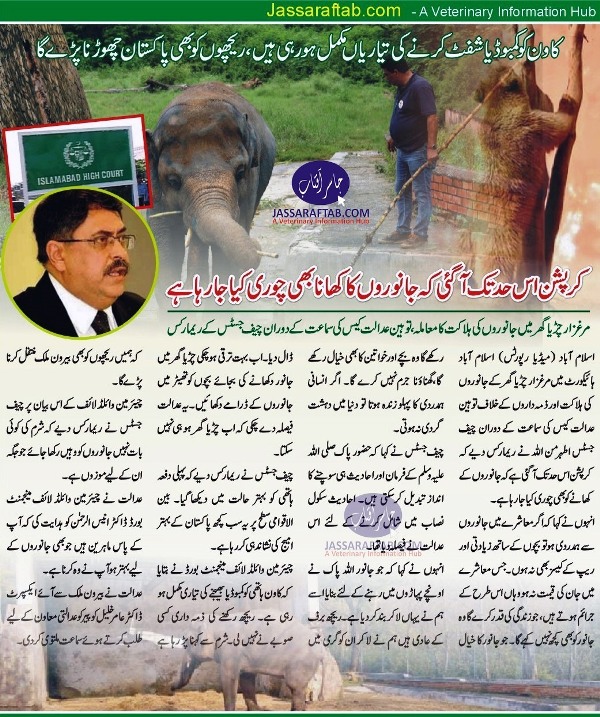 Case of Kaavan Elephant in IHC