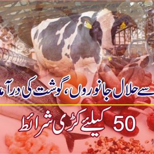 Meat import banned in Pakistan