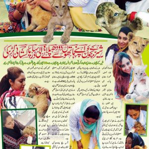 caring and feeding cub lions at Safari Lahore