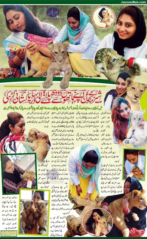 شیر کے بچوں کو اپنے ہاتھوں سے دودھ پلانے والی بہادر پاکستانی لڑکی، ڈاکٹر مدیحہ ۔۔ ایکسپریس نیوز سٹوری