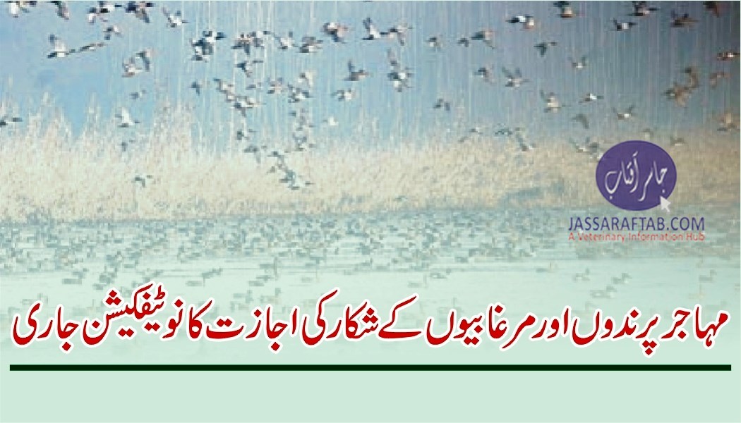 Wildlife dept issued a hunting permit of migratory birds