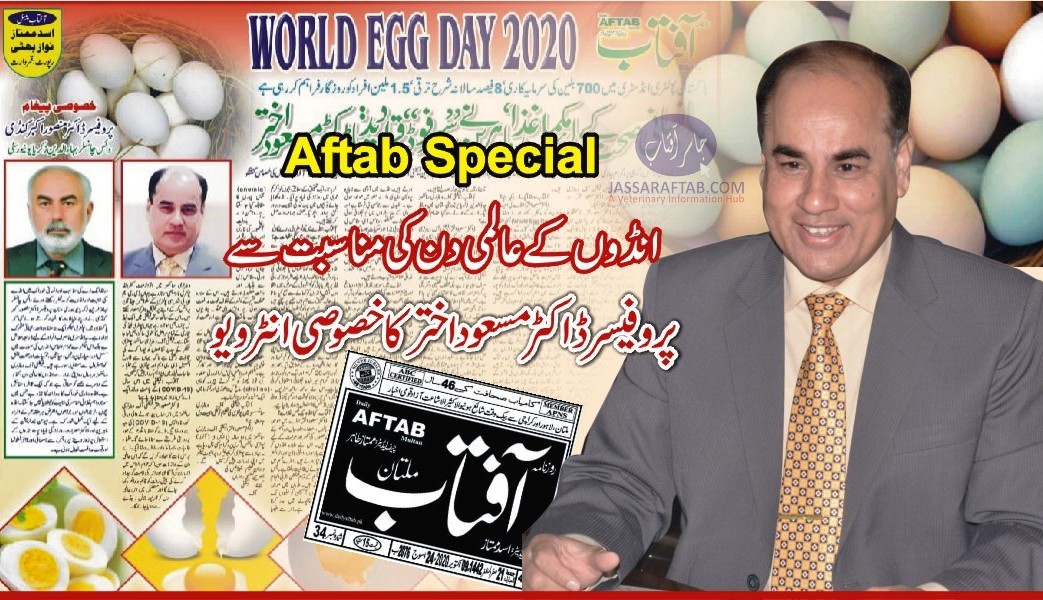 world egg day | Prof. Masood Akhtar about nutrition of egg