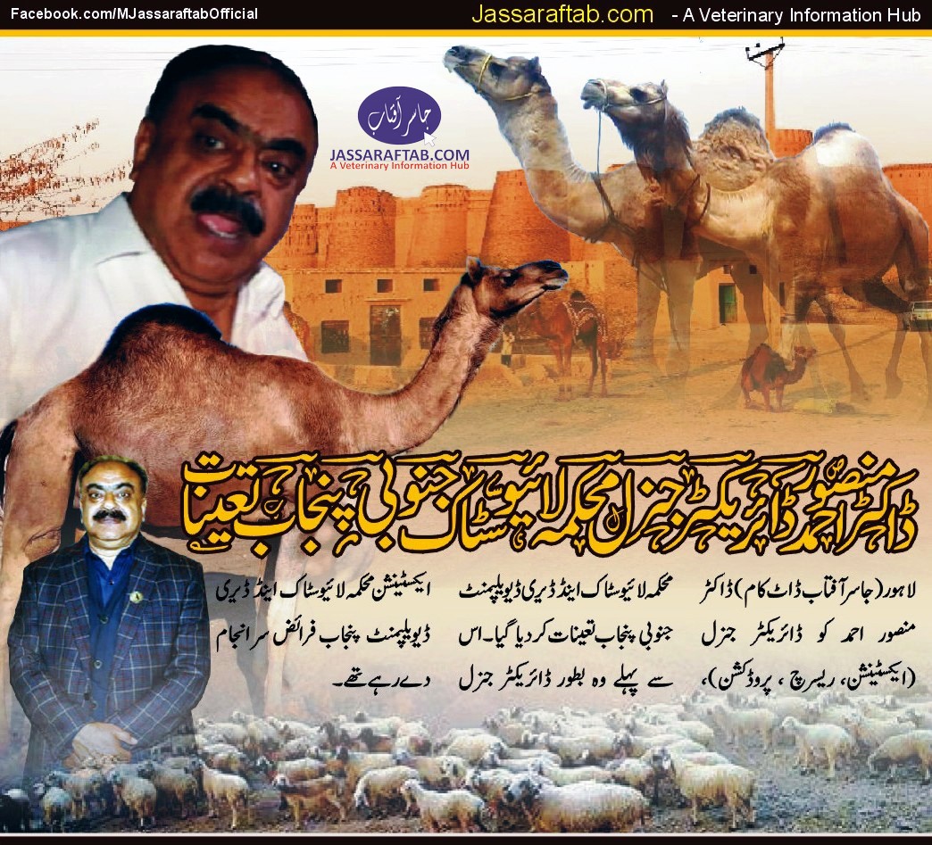 DG Livestock South Punjab | Dr. Mansoor Ahmad posted