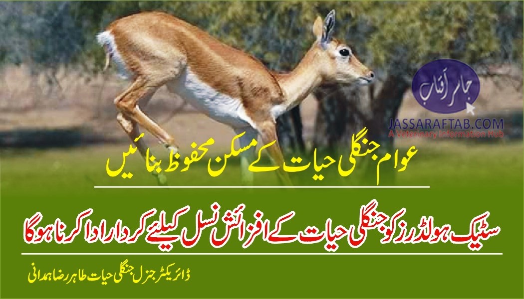 Message of DG wildlife on world animal day