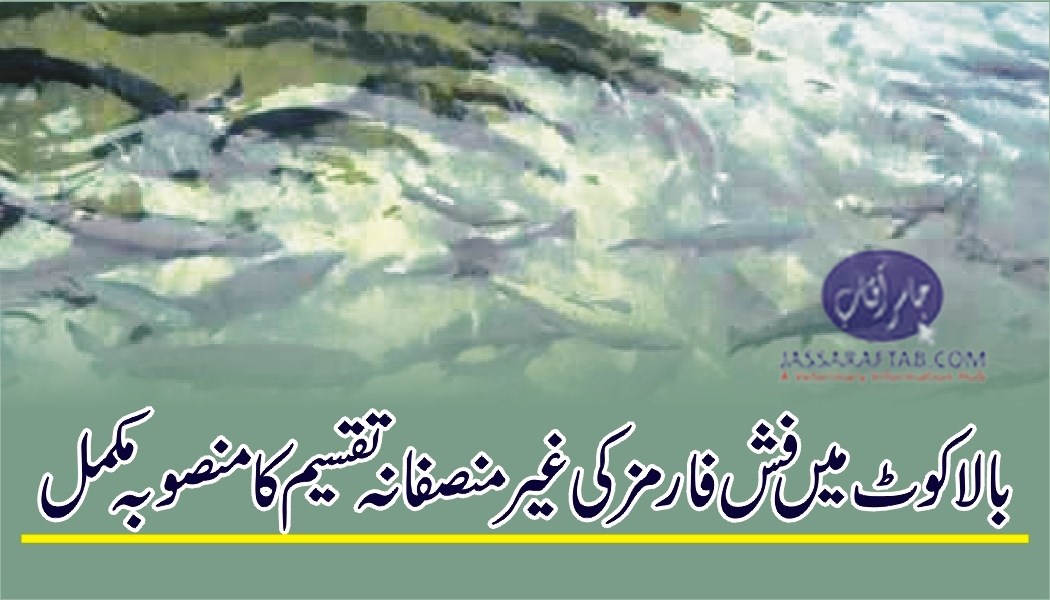 Distribution of fish farms in Balakot