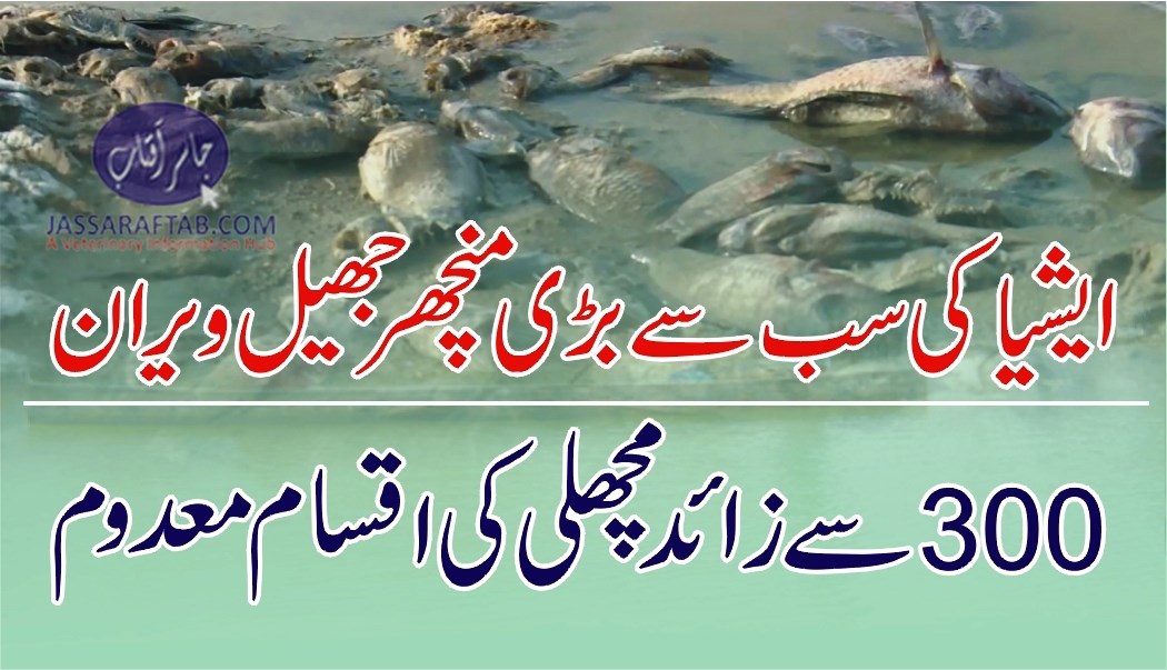 Pakistan's largest lake destroyed by pollution
