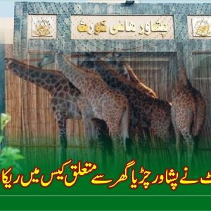 PHC demands Peshawar zoo record