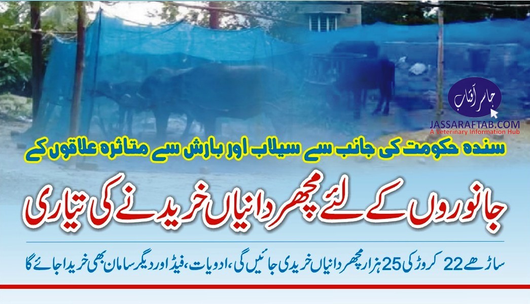 Sindh livestock to get mosquito nets