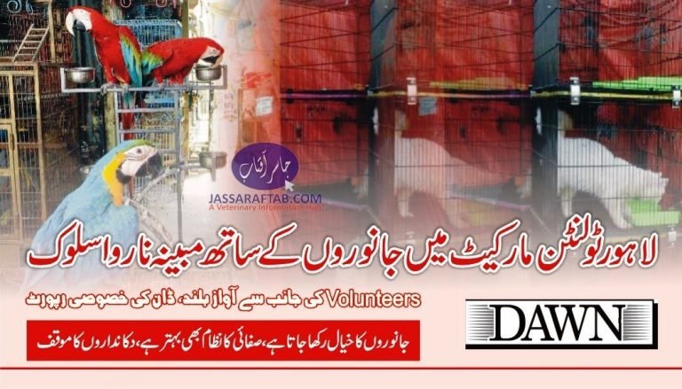 Volunteers speak out against cruelty to animals