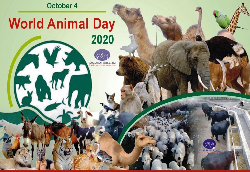 world animal day 