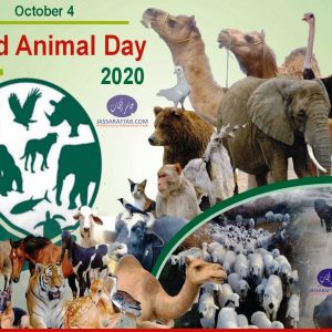 world animal day banner 2020