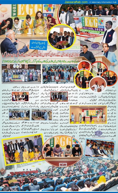 پاکستان پولٹری ایسوسی ایشن کے اشتراک سے ویٹرنری یونیورسٹی میں انڈوں کا عالمی دن منایا گیا