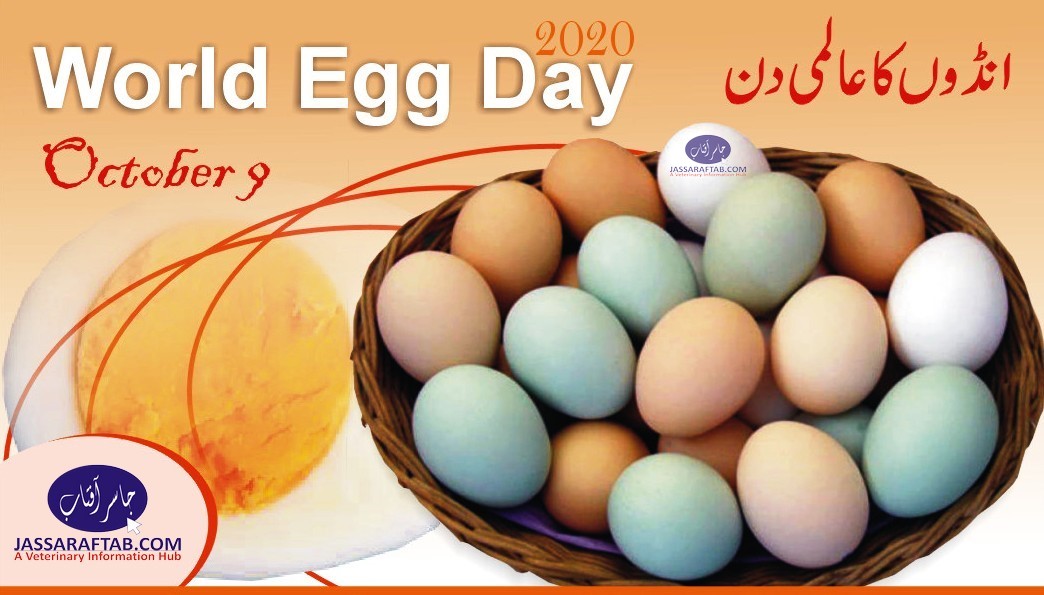 world egg day 2020