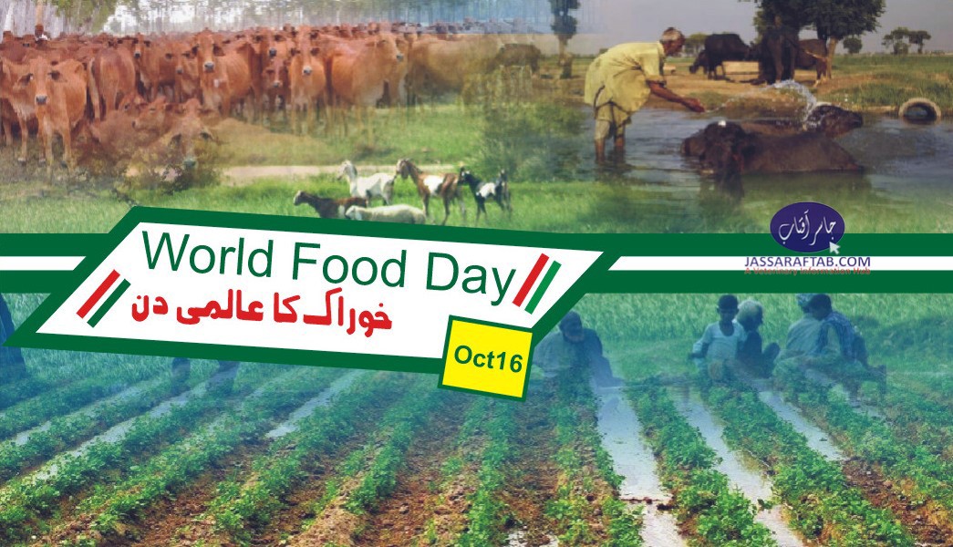 world food day and livestock Pakistan