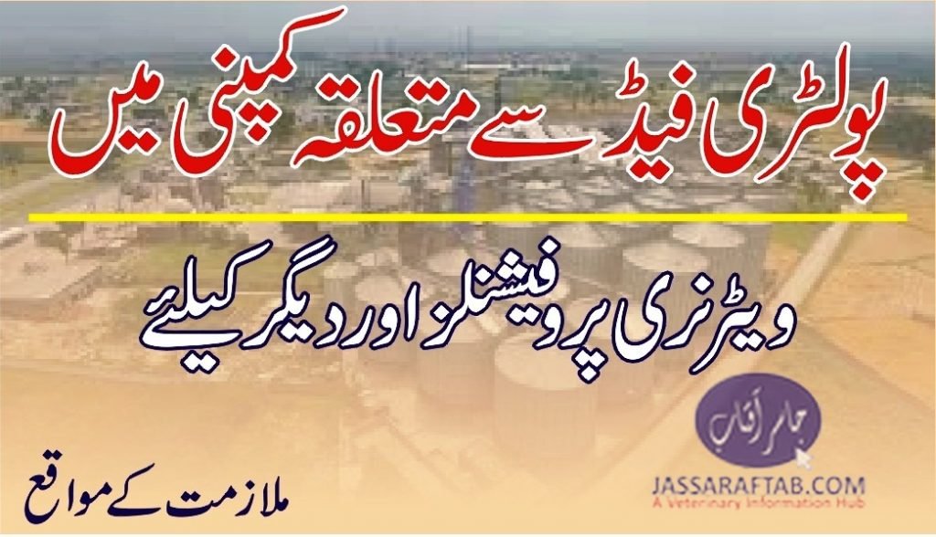 Job opportunity for veterinary professionals in a Poultry Feed Company