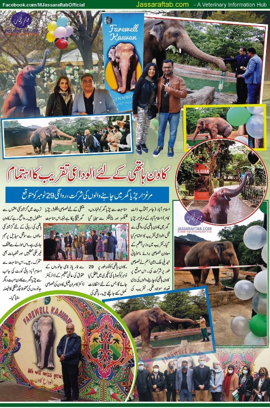 Farewell to Kaavan Elephant islamabad zoo