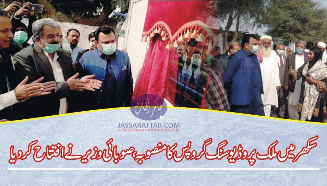 Provincial minister inaugurated milk producing groups project