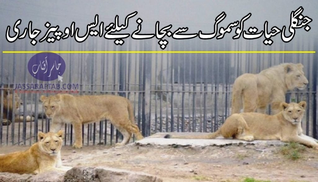 Protection of Zoo animals form Smog