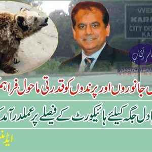 Natural environment for animals to be provided at Karachi Zoo