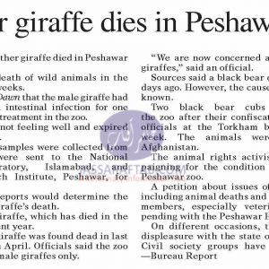 Another African giraffe died in Peshawar zoo