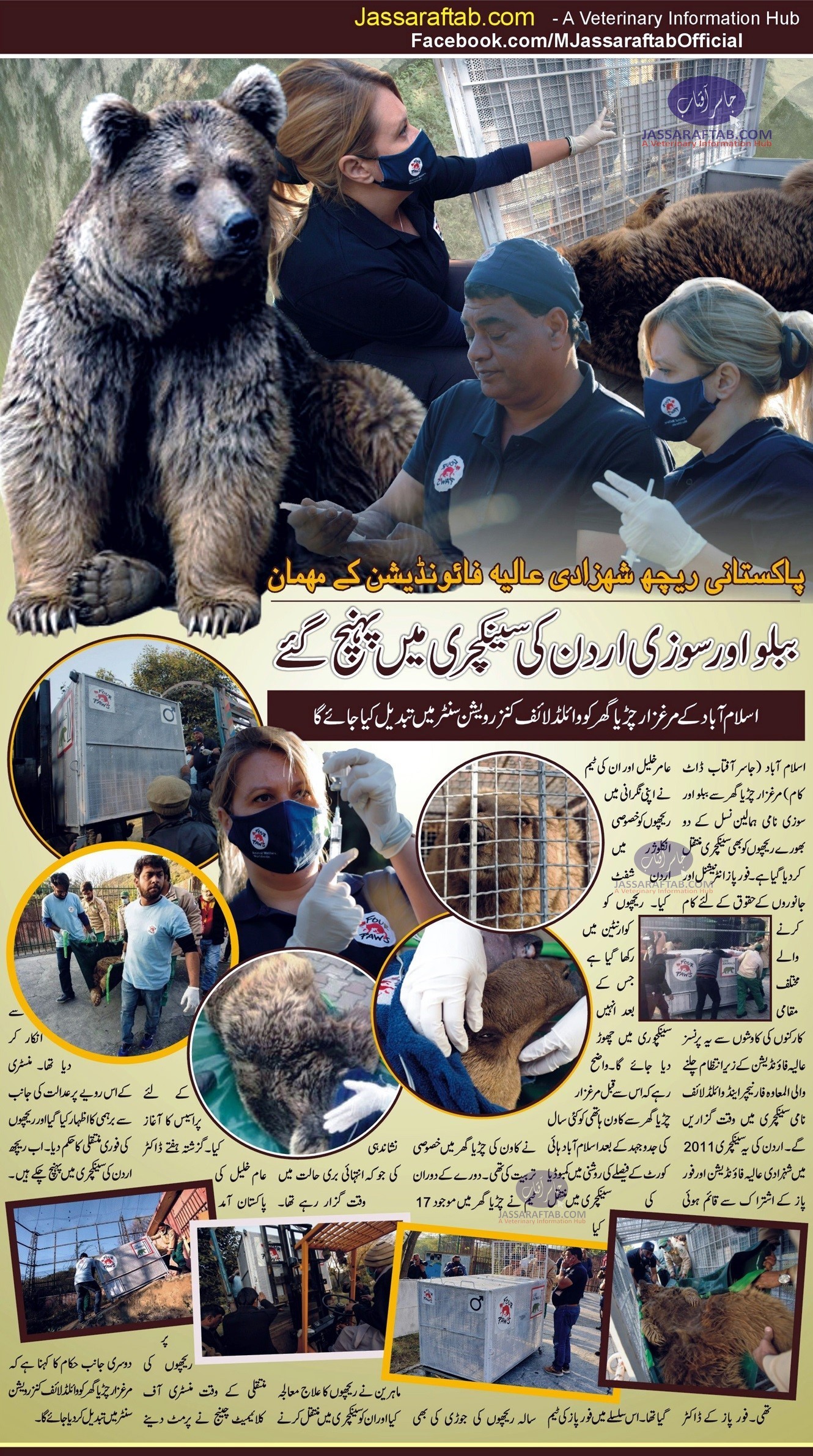 Himalayan Brown bears of Marghazar Zoo Islamabad relocated to Bear Sanctuary in Jordan from Islamabad Zoo
