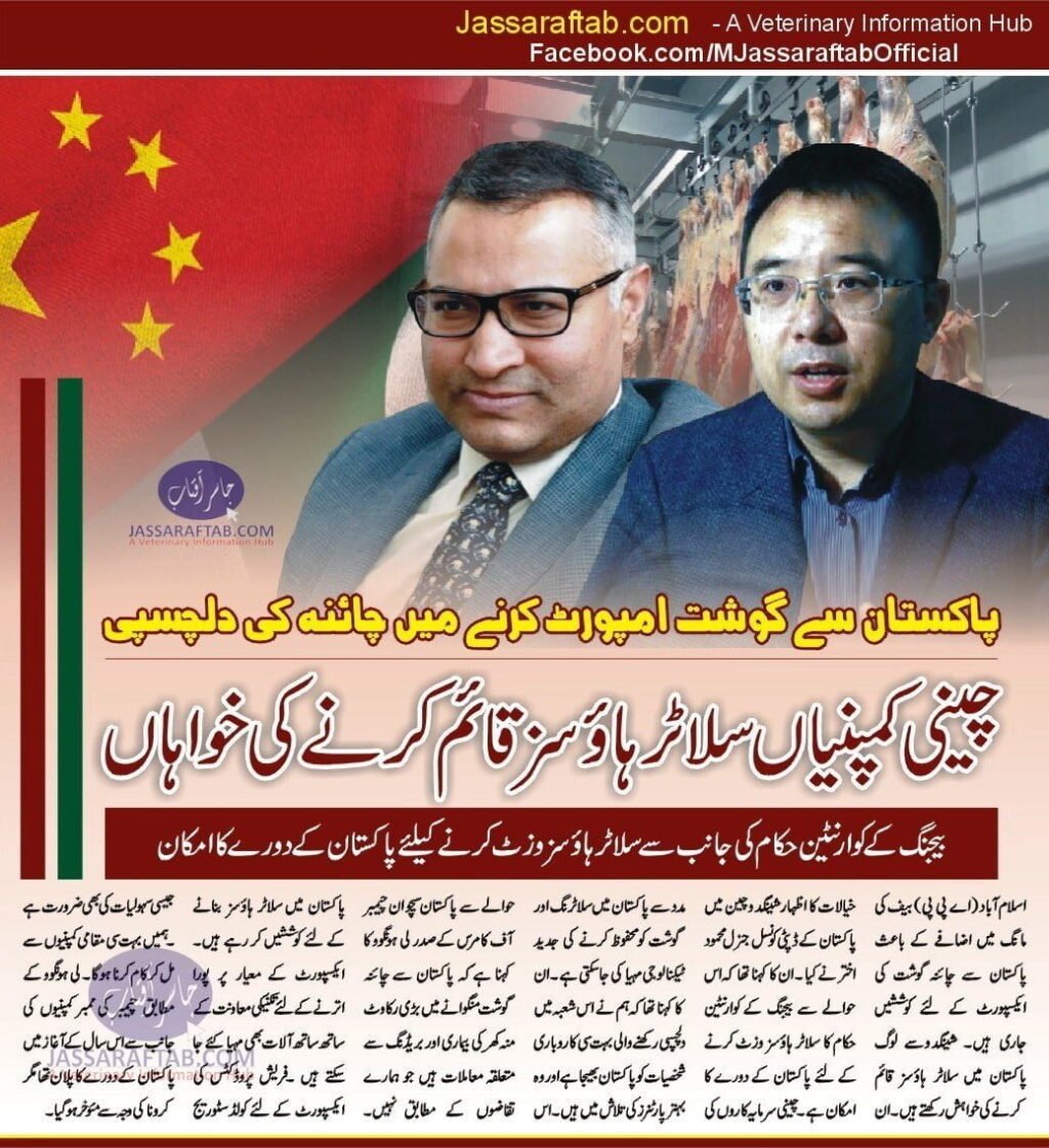 Chinese companies want to develop slaughterhouses in Pakistan