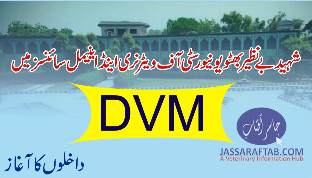 DVM admissions in Sakrand