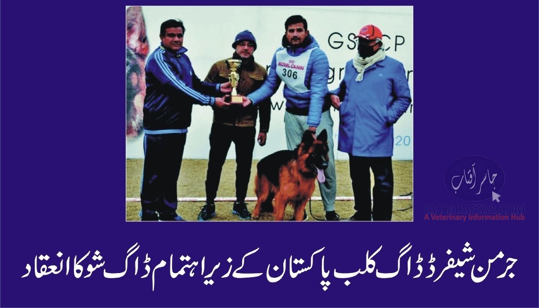 Dog show organised by German Shepherd Dog Club Pakistan