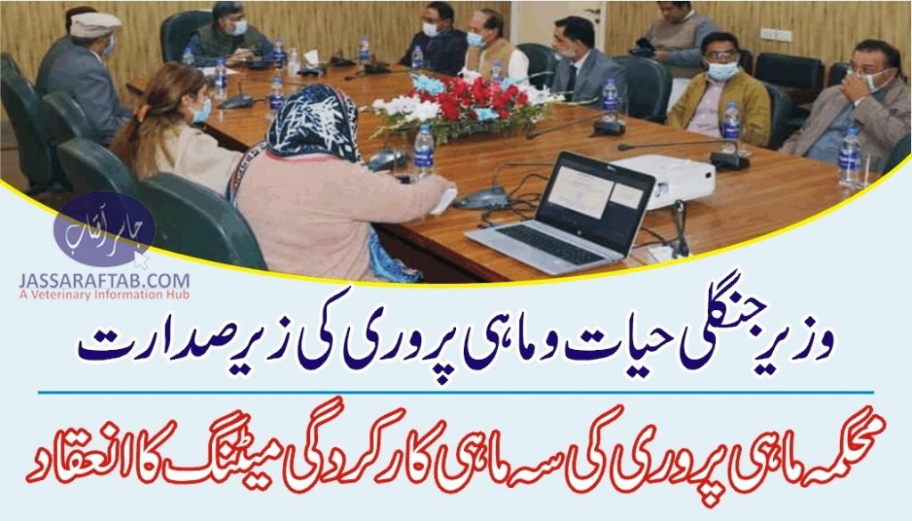 Minister for Wildlife chaired a meeting to review performance of Fisheries dept