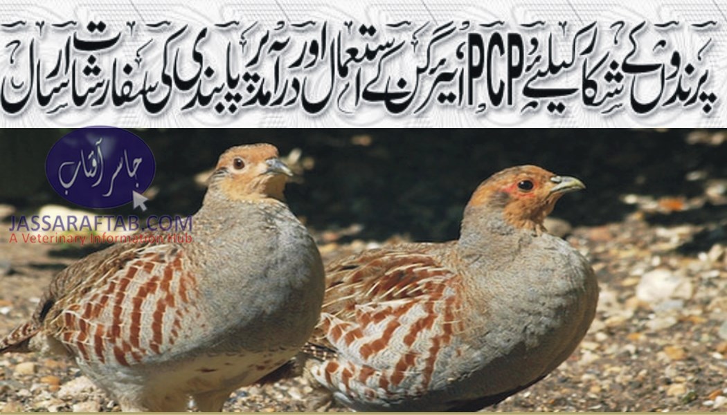 Ban on the use of PCP airgun for bird hunting