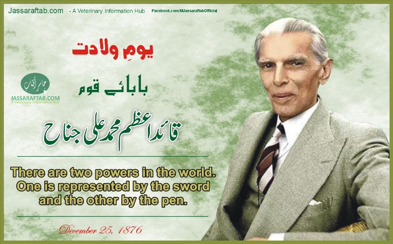 quaid day quotes banner