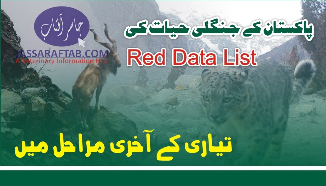 Red data list of wildlife species on cards