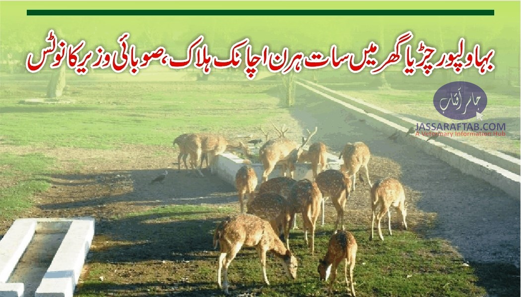 Seven deer died at Bahawalpur zoo